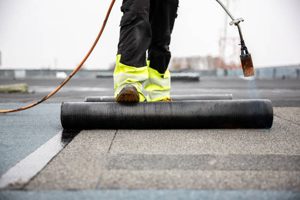 Best Roof Moss and Algae Removal  in Dasher, GA